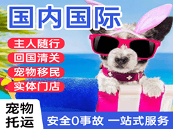 沈阳机场货运国际宠物托运 【国